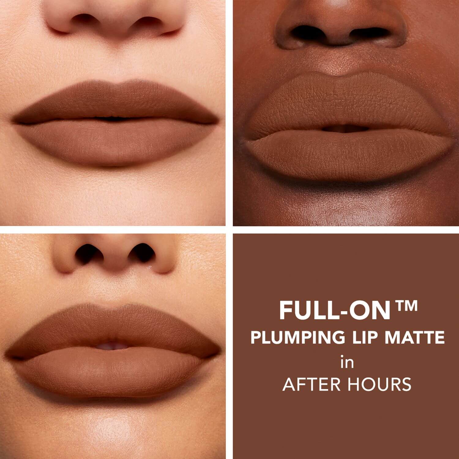 FULL-ON™ MATTE (LABIAL LÍQUIDO MATE)
